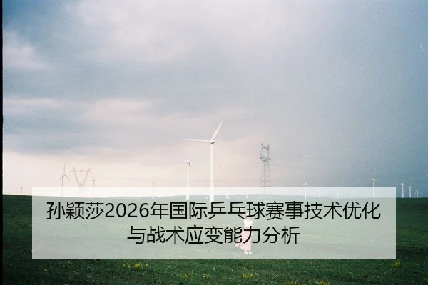 sun-ying-sha-nian-guo-ji-ping-pang-qiu-sai-shi-ji-shu-you-hua-yu-zhan-shu-ying-bian-neng-li-fen-xi-2-242.jpg
